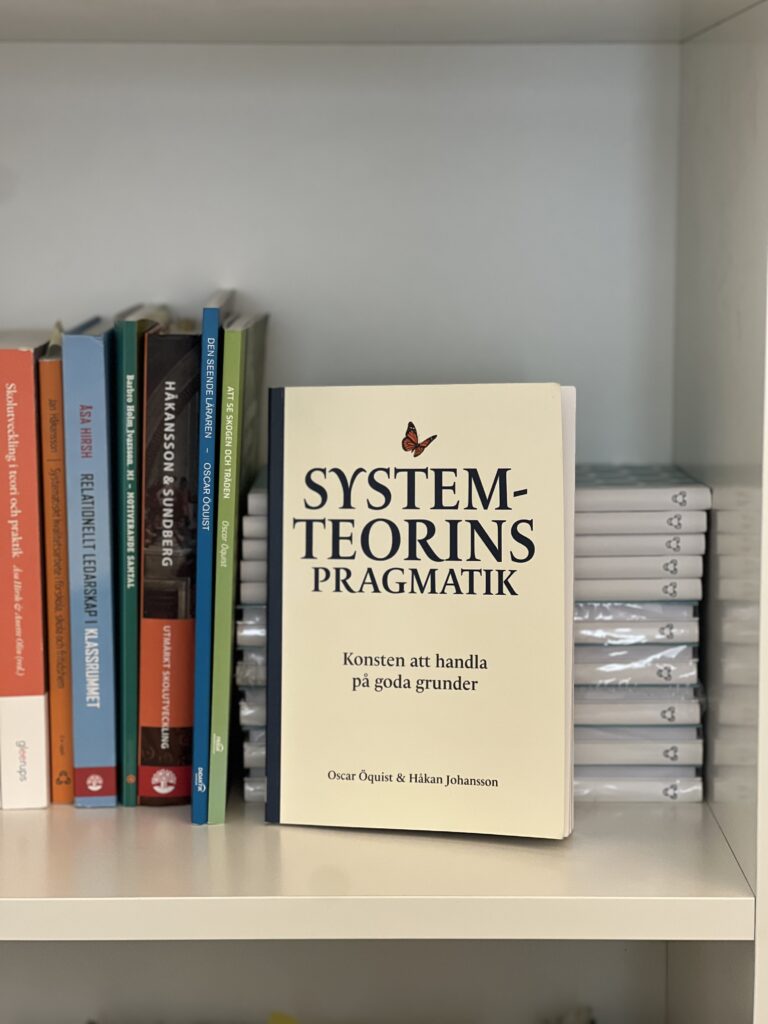 Artikelbild - Systemteorins pragmatik  – konsten att handla på goda grunder