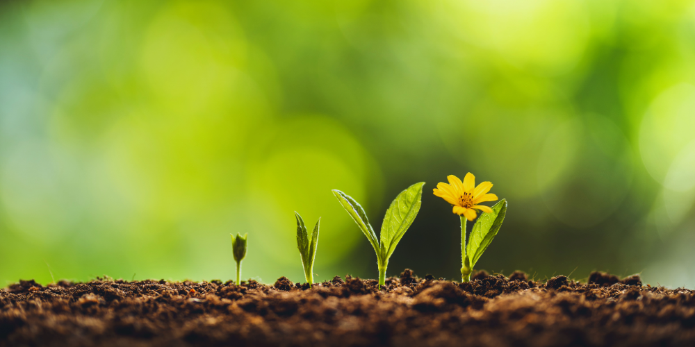 Bild - ”Backa barnet” införs i Trollhättan