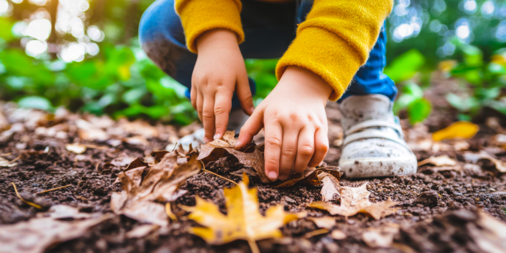 Artikelbild - Grönt är skönt – förskolan flyttar ut lärandet