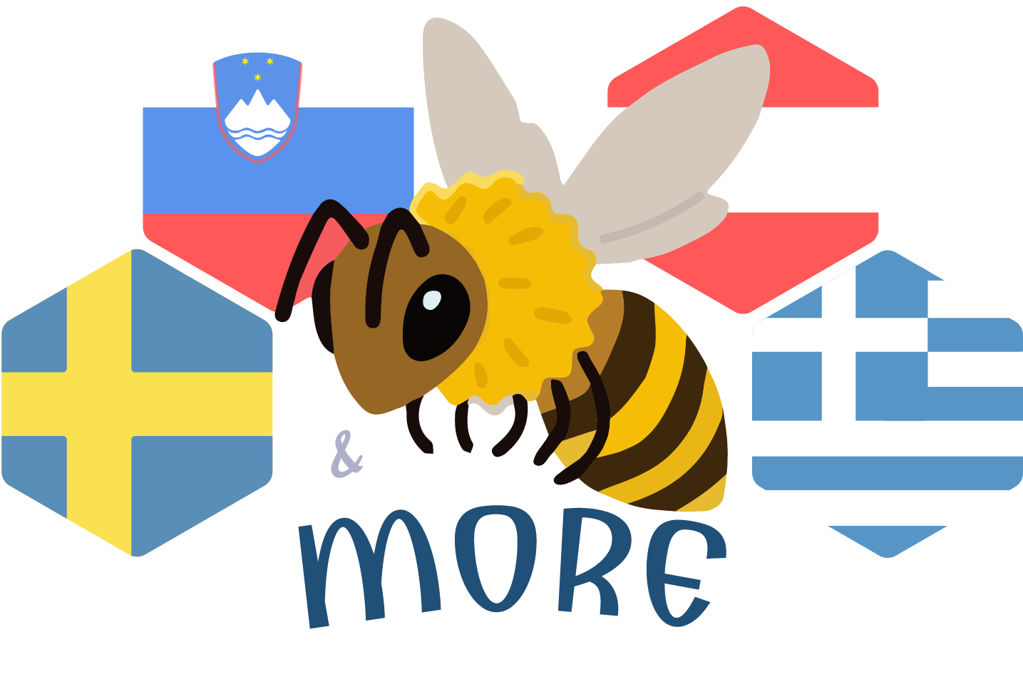 Bild - Bees&More – Erasmus +