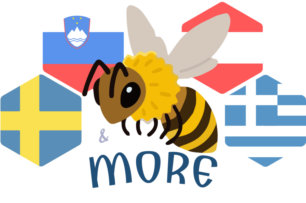 Artikelbild - Bees&More – Erasmus +